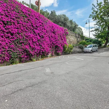 Bright With Parking * Camogli